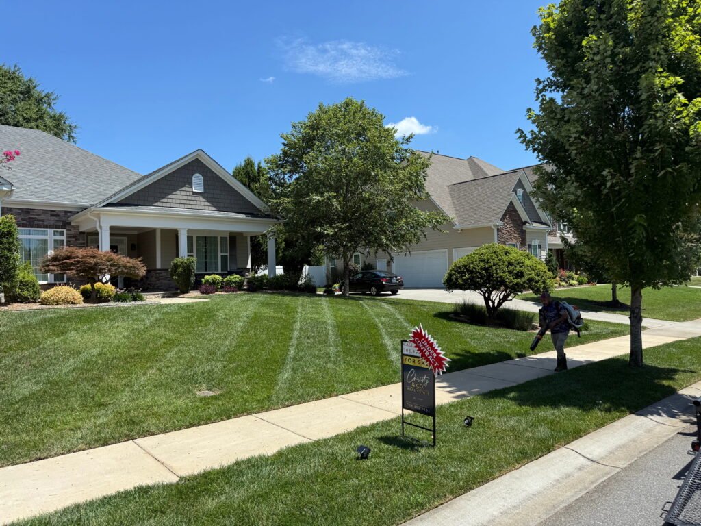 Neatly mowed lawn with deep green color and distinct mowing patterns in a quiet neighborhood.