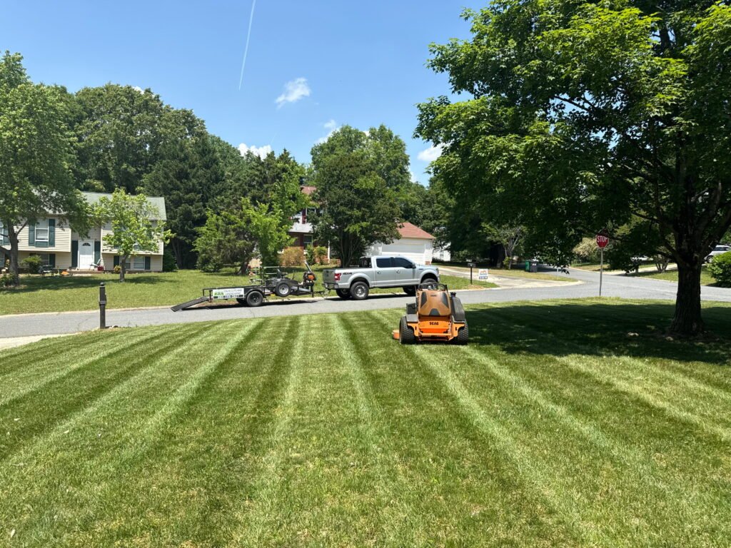 Symmetrical mowing stripes on a large residential property showcasing premium lawn care.